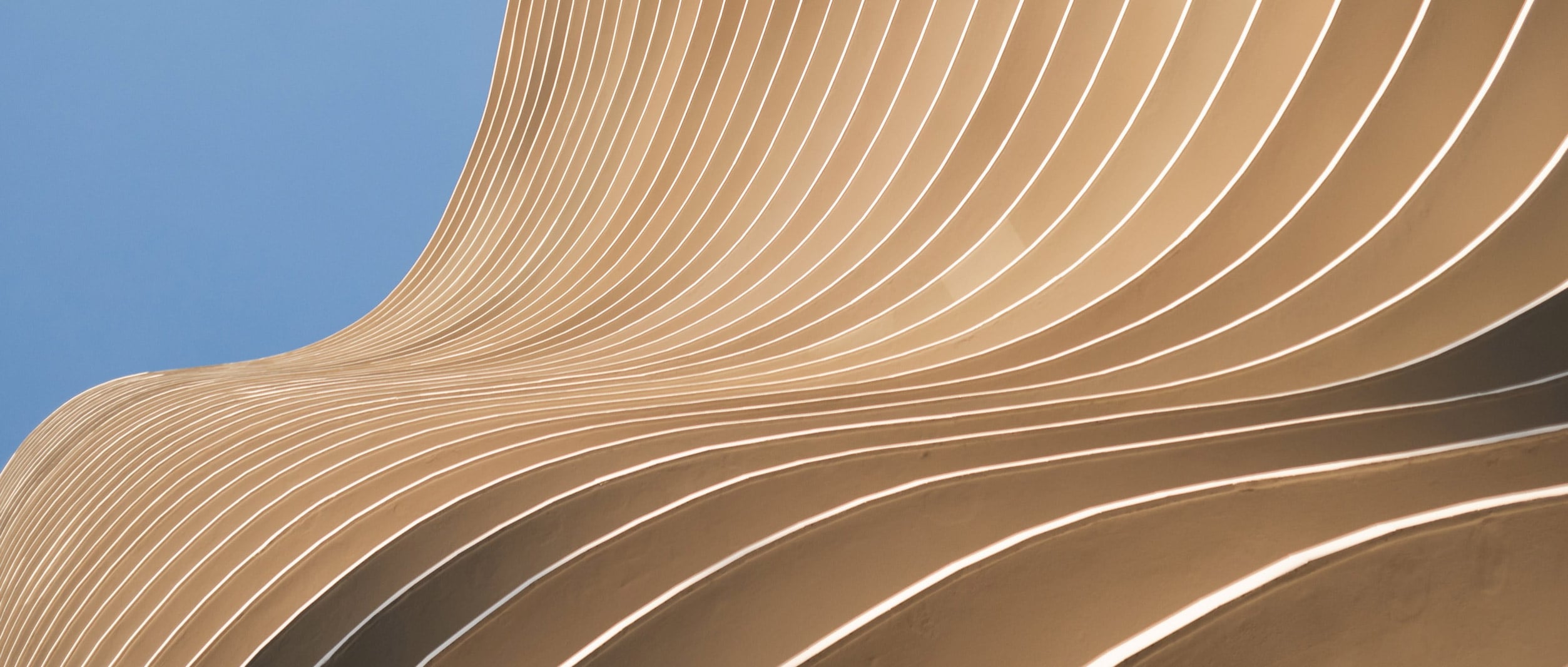 Pexels dayvison de oliveira silva 5695286