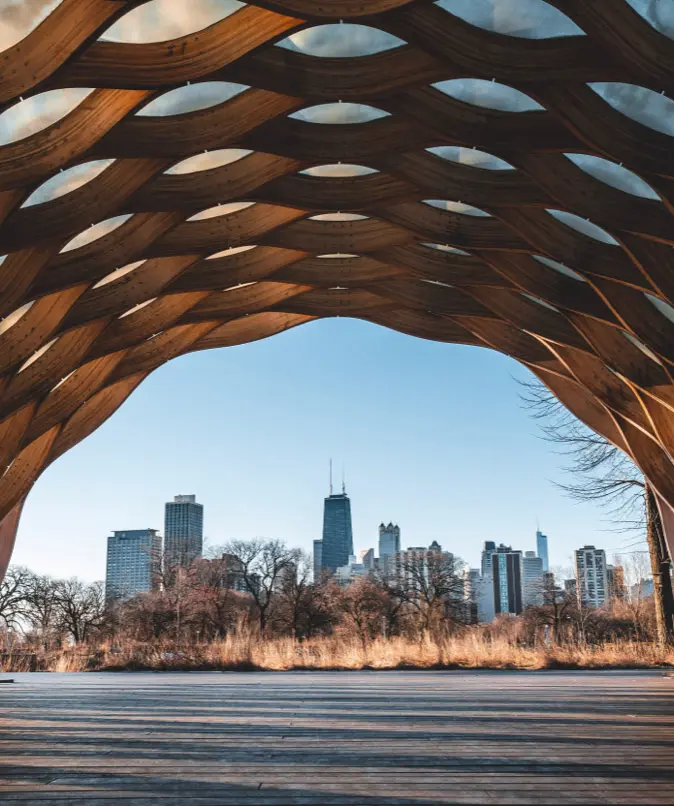 Pexels chait goli 2088233