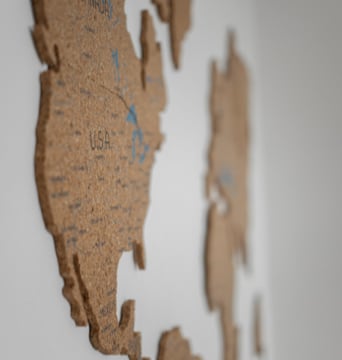 Pexels monstera 7412007